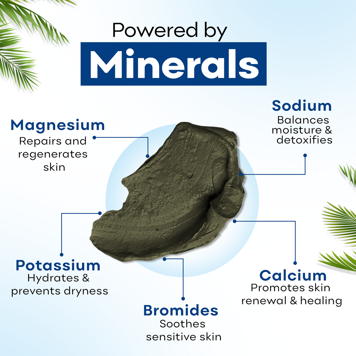 Dead Sea Mud Body Mask - Natural Black Clay Treatment for Deep Cleansing & Detoxification (20.4 oz)
