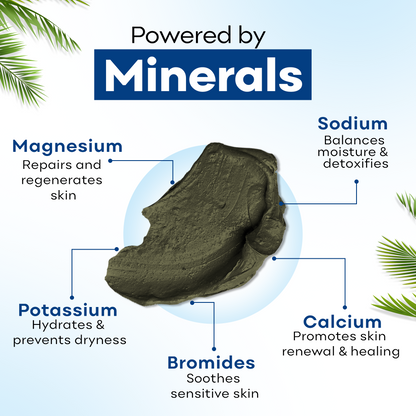 Dead Sea Mud Body Mask - Natural Black Clay Treatment for Deep Cleansing & Detoxification (20.4 oz)